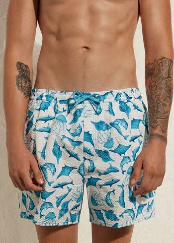 Calzedonia Formentera Badehose Herren Türkis Weiß | AT2920EX