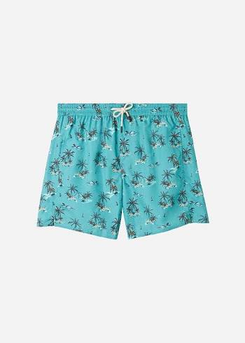 Calzedonia Formentera Sport Badehose Herren Grün | AT2944VD