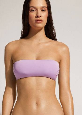Calzedonia Gepolstert Bandeau Indonesia Eco Strapless Bikinioberteile Damen Lila | AT1808JJ