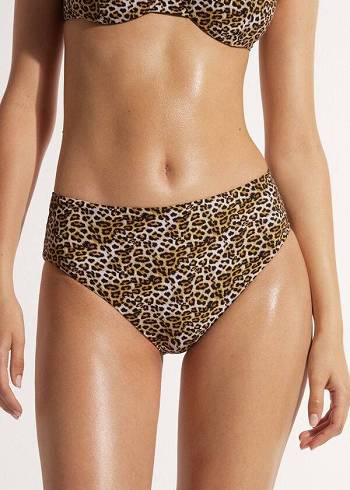 Calzedonia High Taille Malindi Bikinihosen Damen Braun | AT1435IS